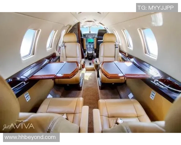 足球明星私人飞机失事引发全球关注安全隐患再度被提上日程